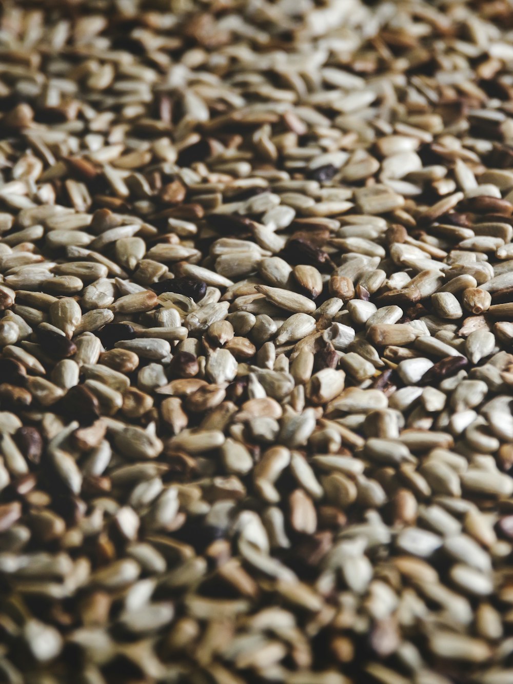 brown and black stones on ground