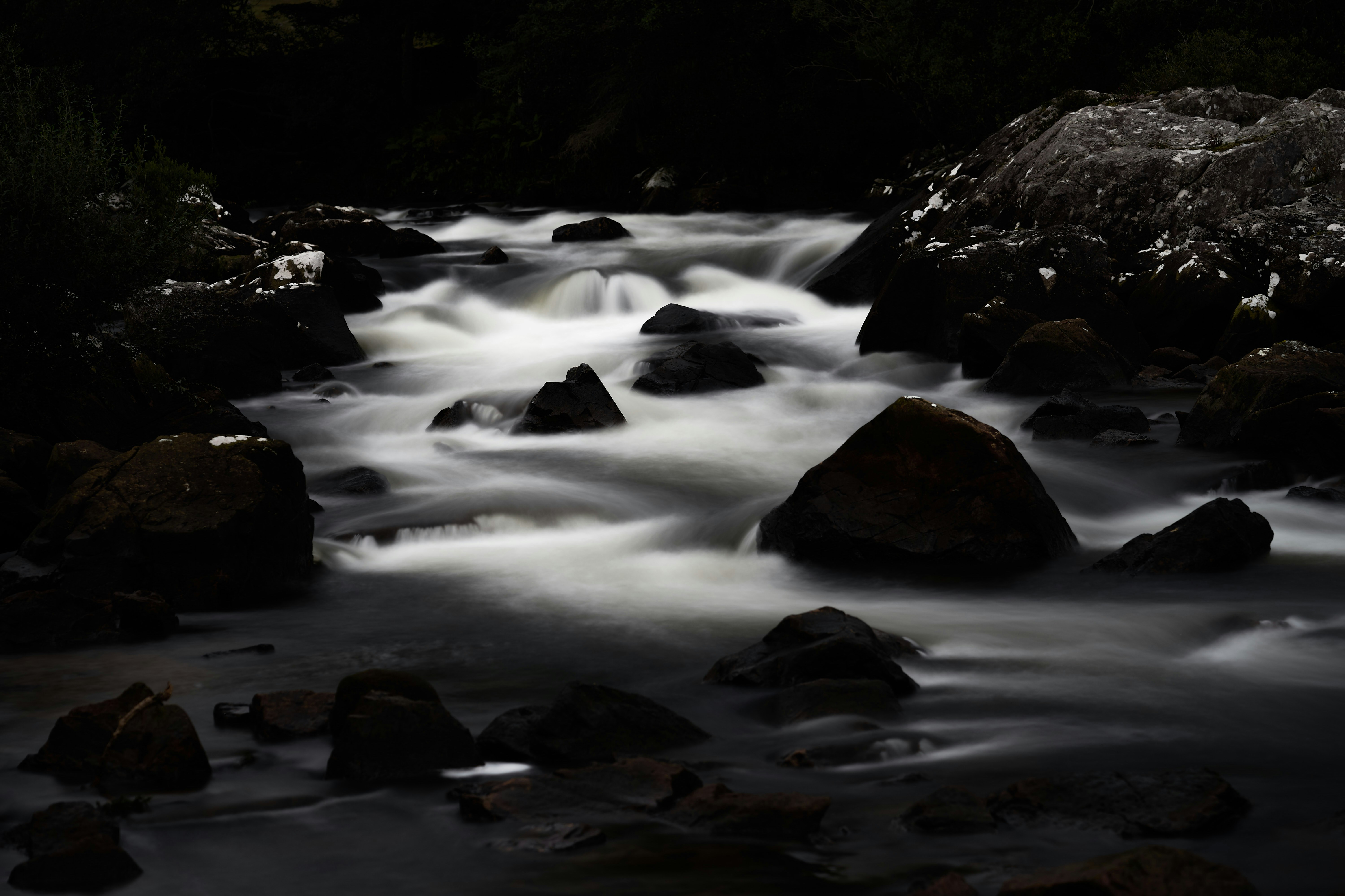 Photo by wolfgang_hasselmann