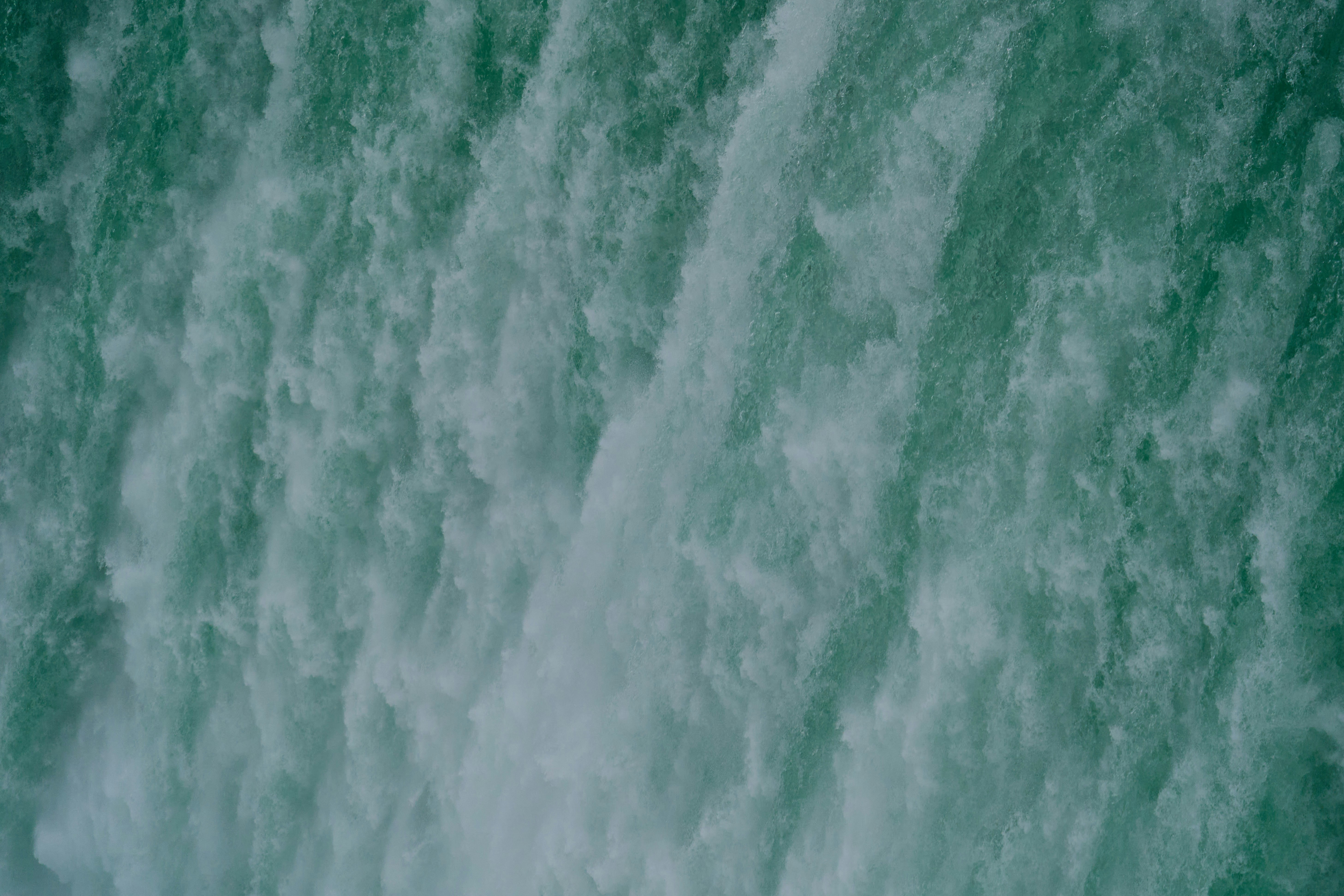 Photo by wolfgang_hasselmann