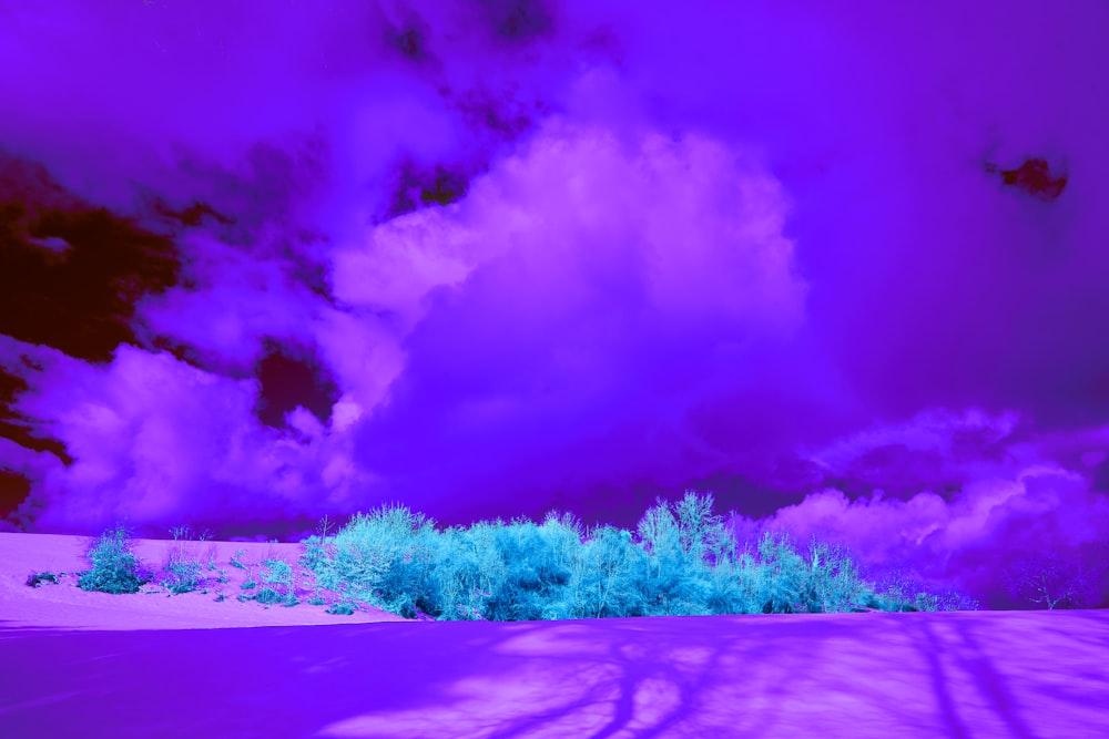 green grass field with trees under purple sky