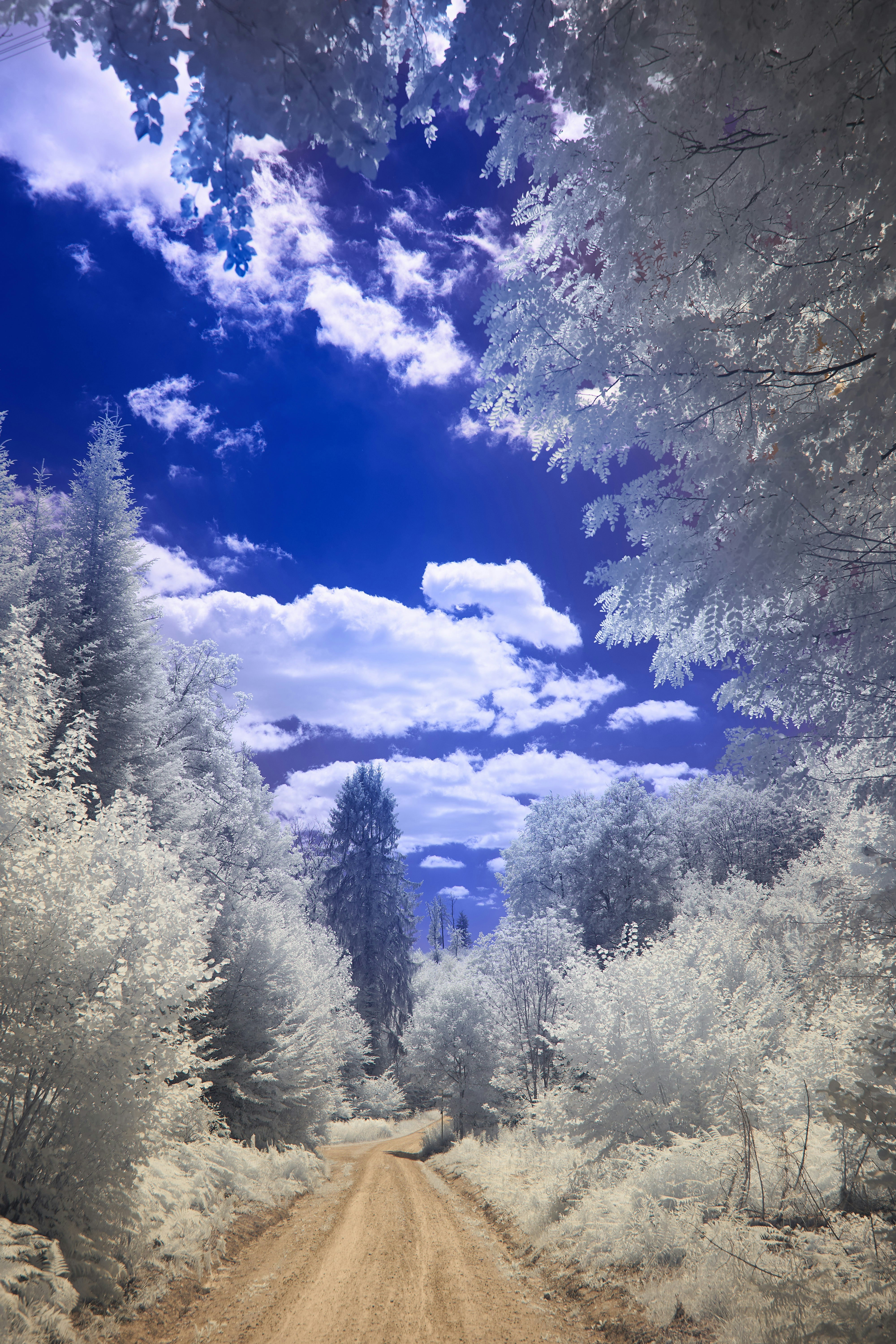 Photo by wolfgang_hasselmann