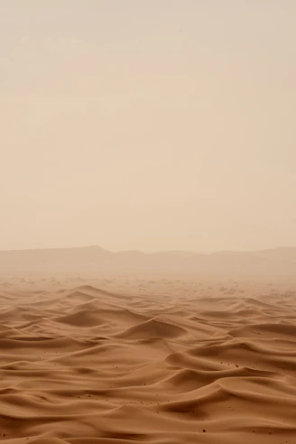 desert under white sky during daytime