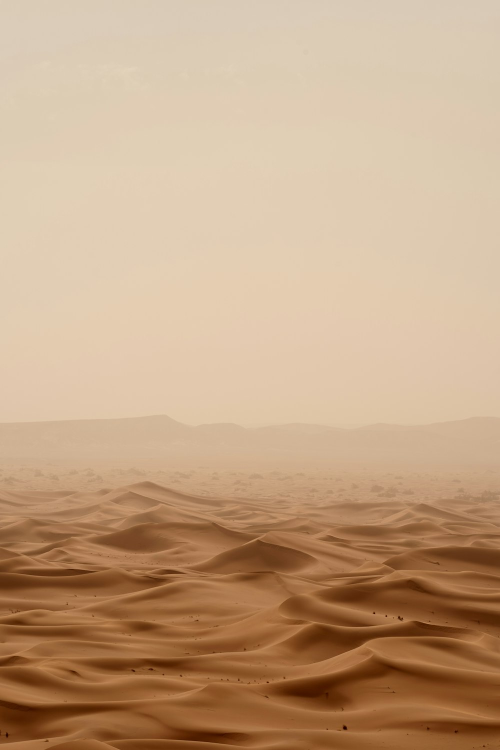昼間の白い空の下の砂漠
