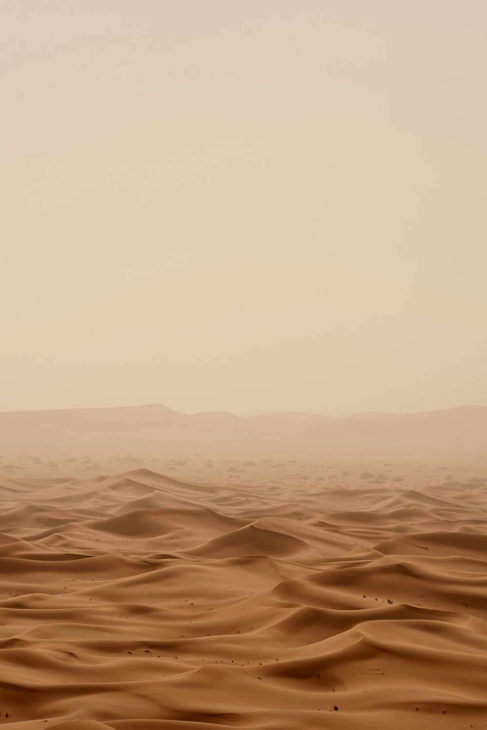 deserto sob o céu branco durante o dia