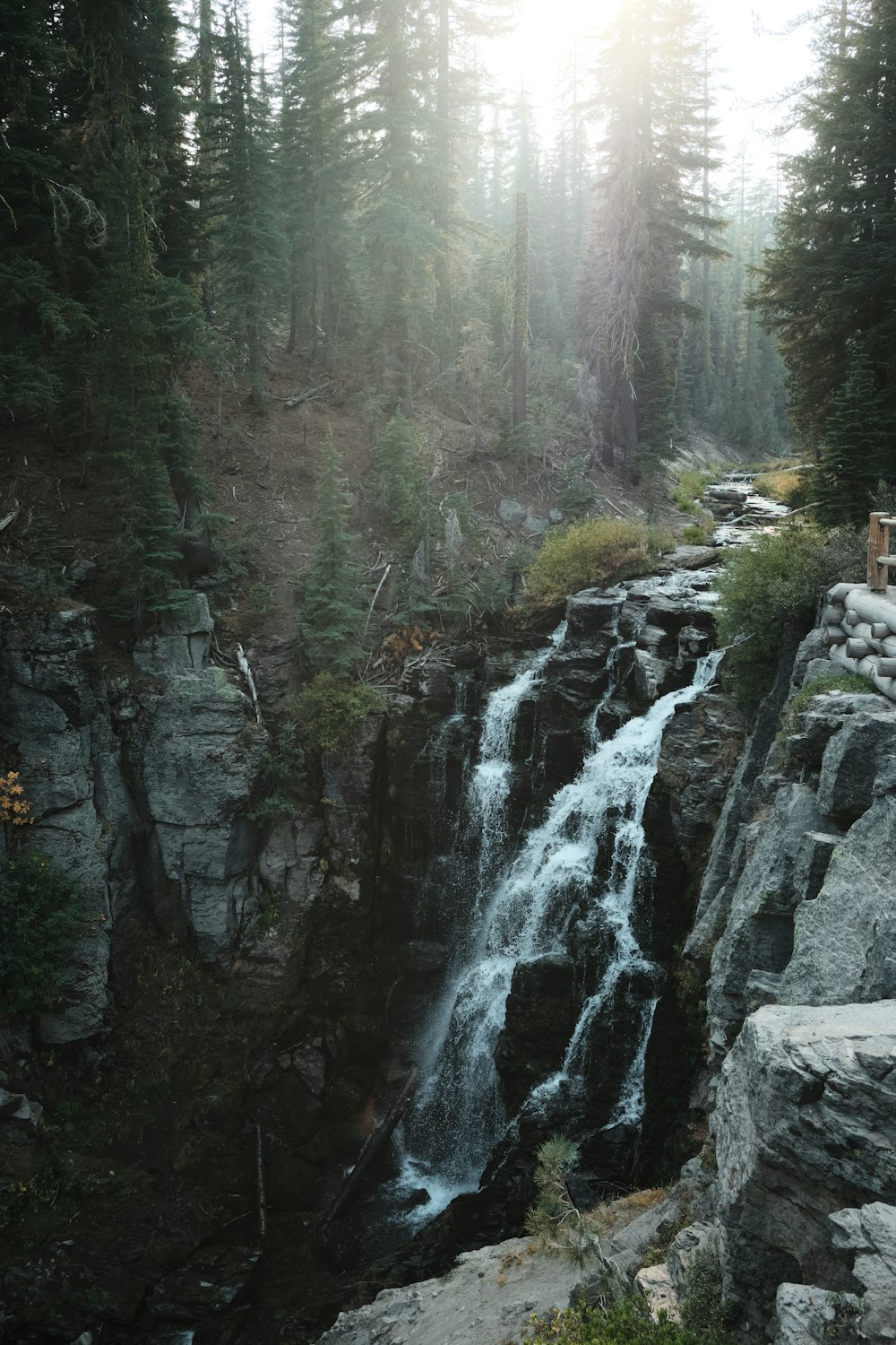 water falls in the middle of the forest