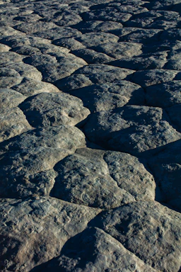 A textured surface composed of irregular, rounded stone formations, tightly fit together. The stones have an earthy appearance with natural variations in color and texture, and there are visible seams between them.