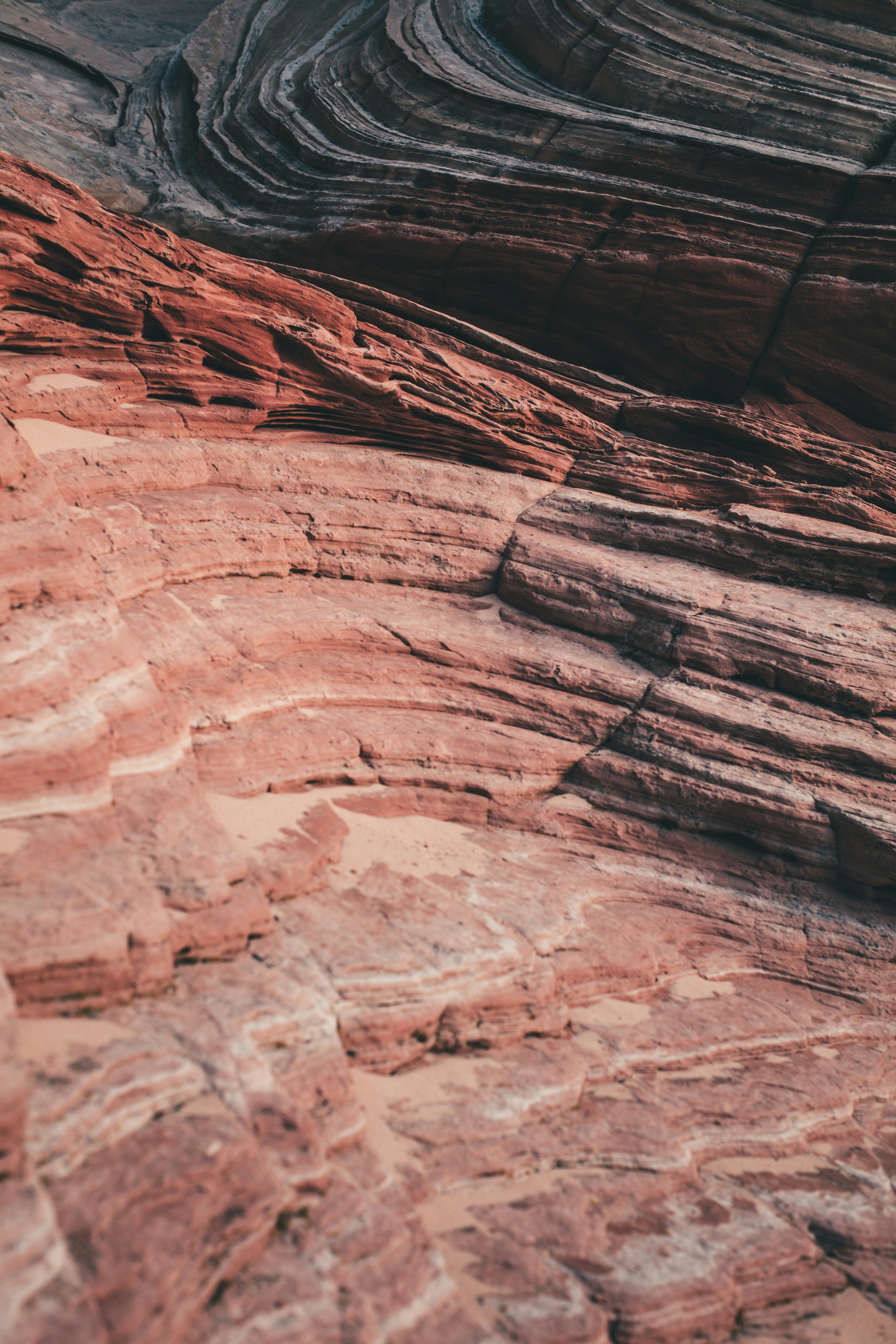 Photo by worldsbetweenlines