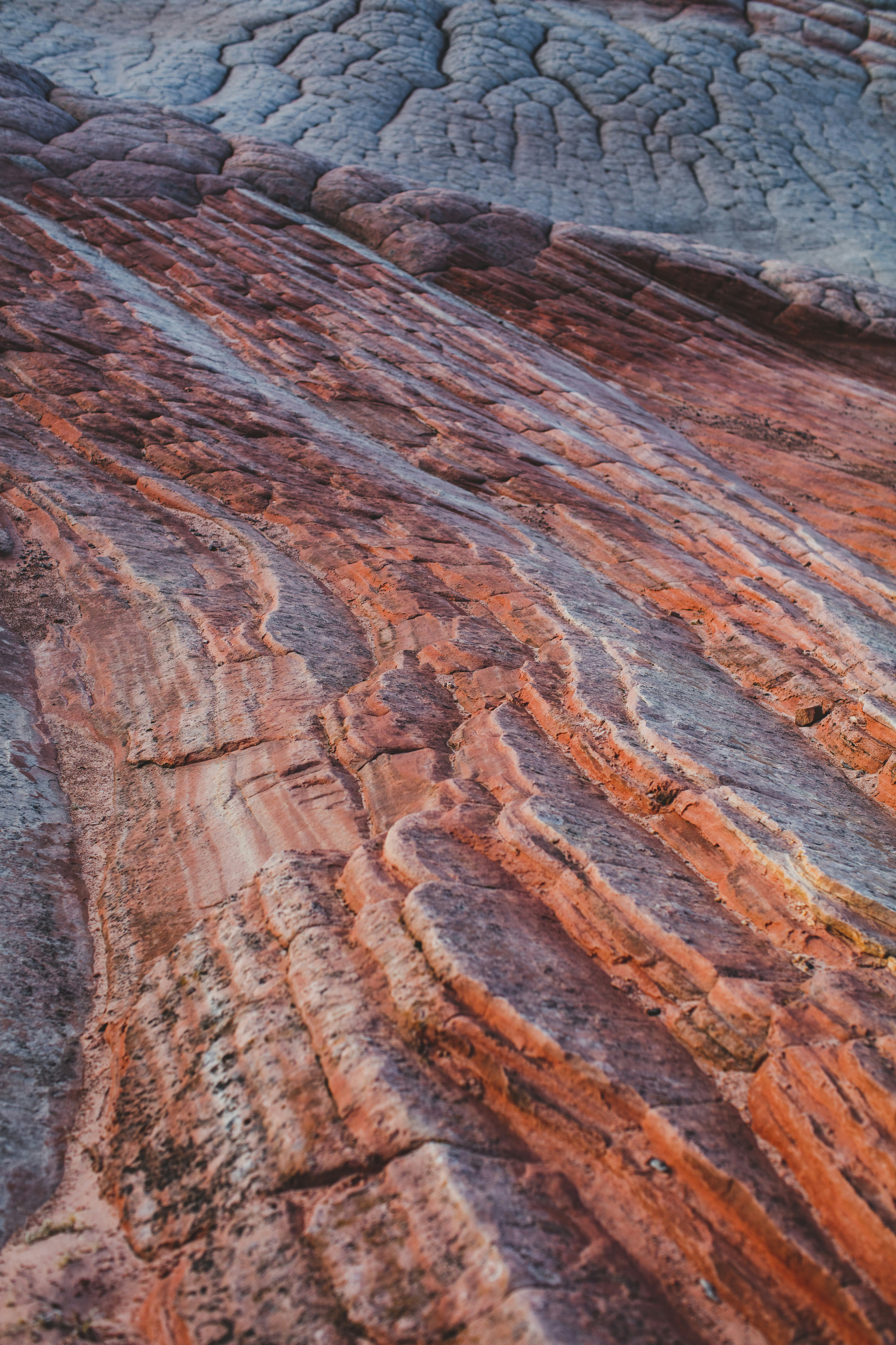 Photo by worldsbetweenlines