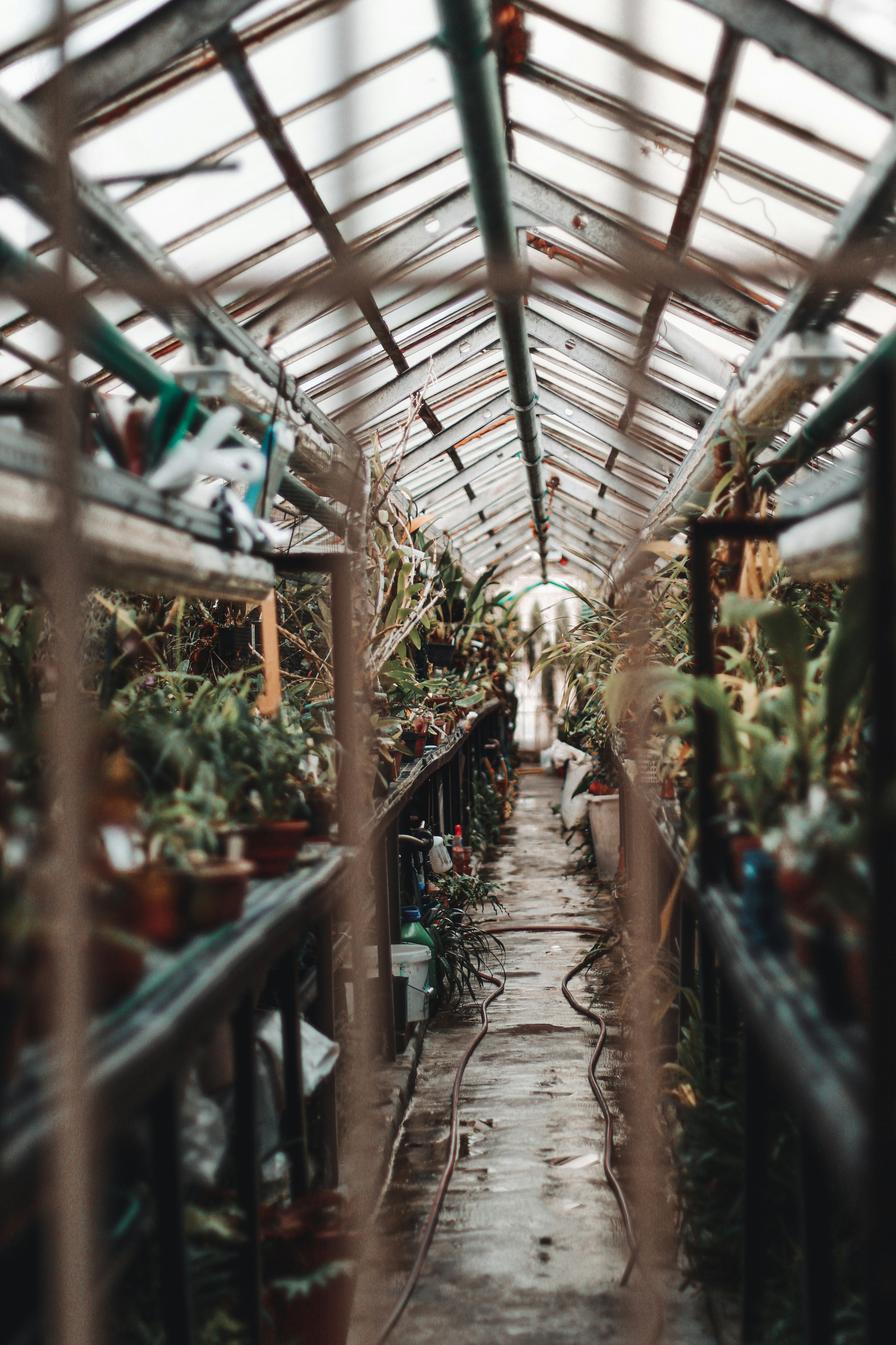 black and white bed linen