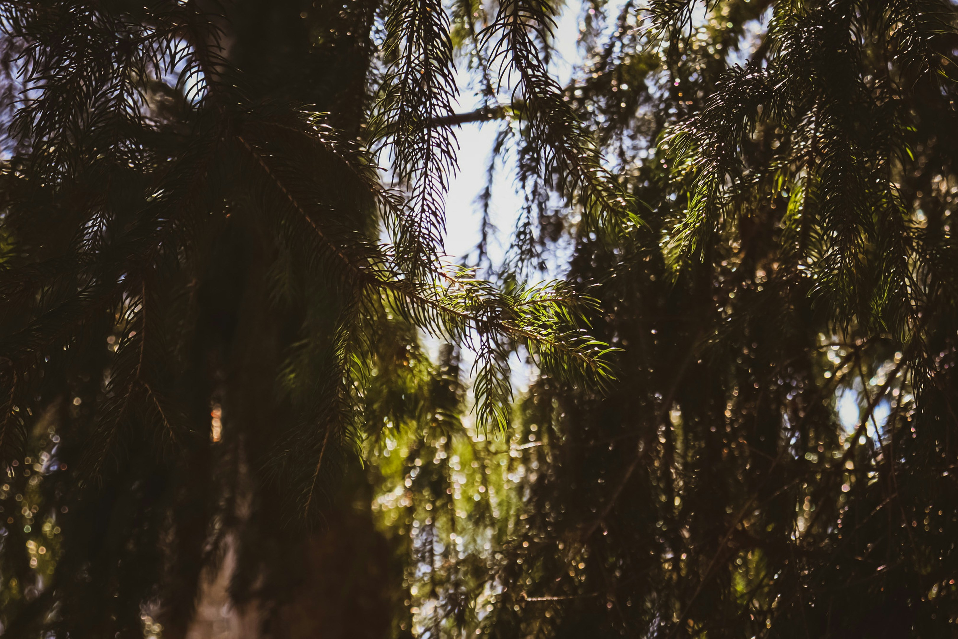 Photo by hlaurphotography