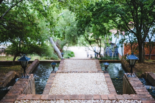 brown wooden bench near swimming pool during daytime