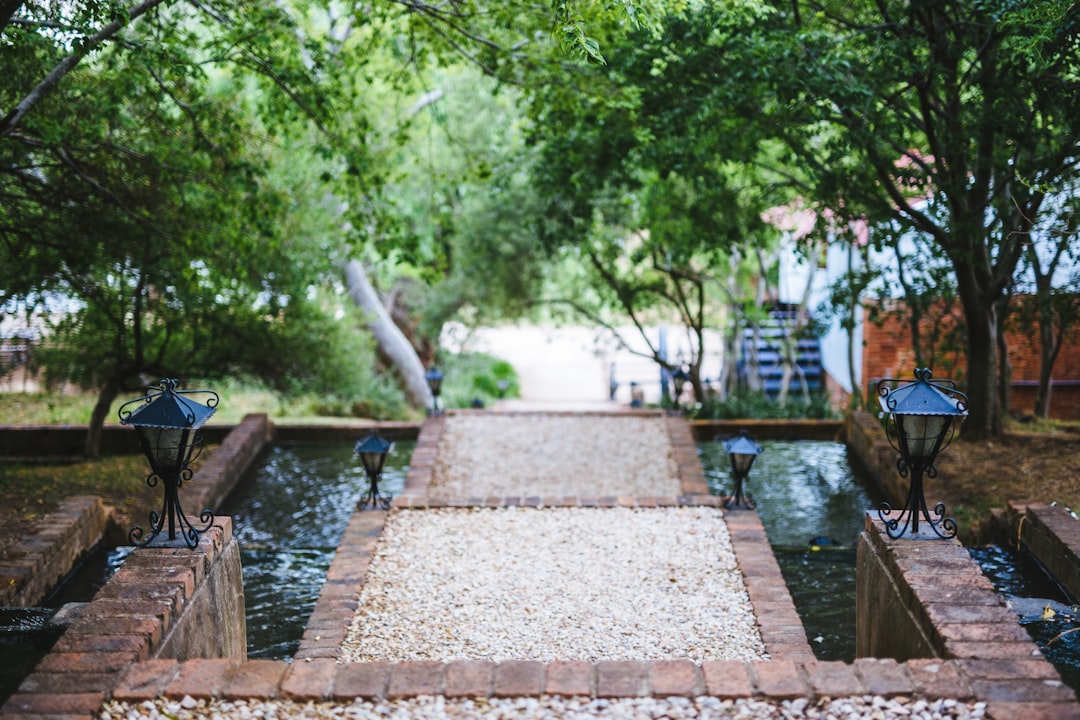 water feature design 