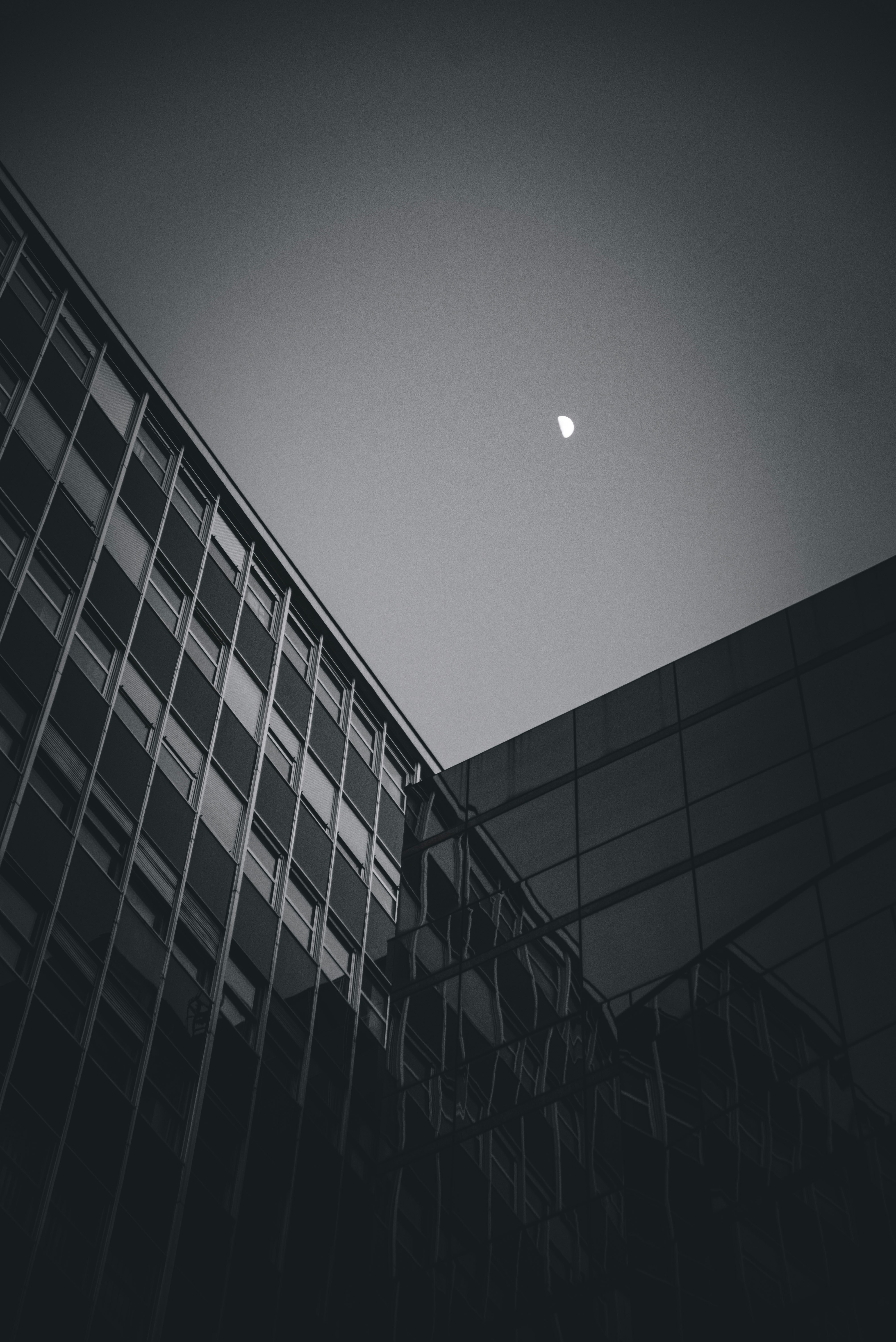 Photo by betrue