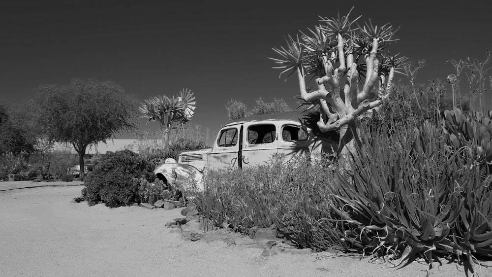 grayscale photo of 2 cars on sand