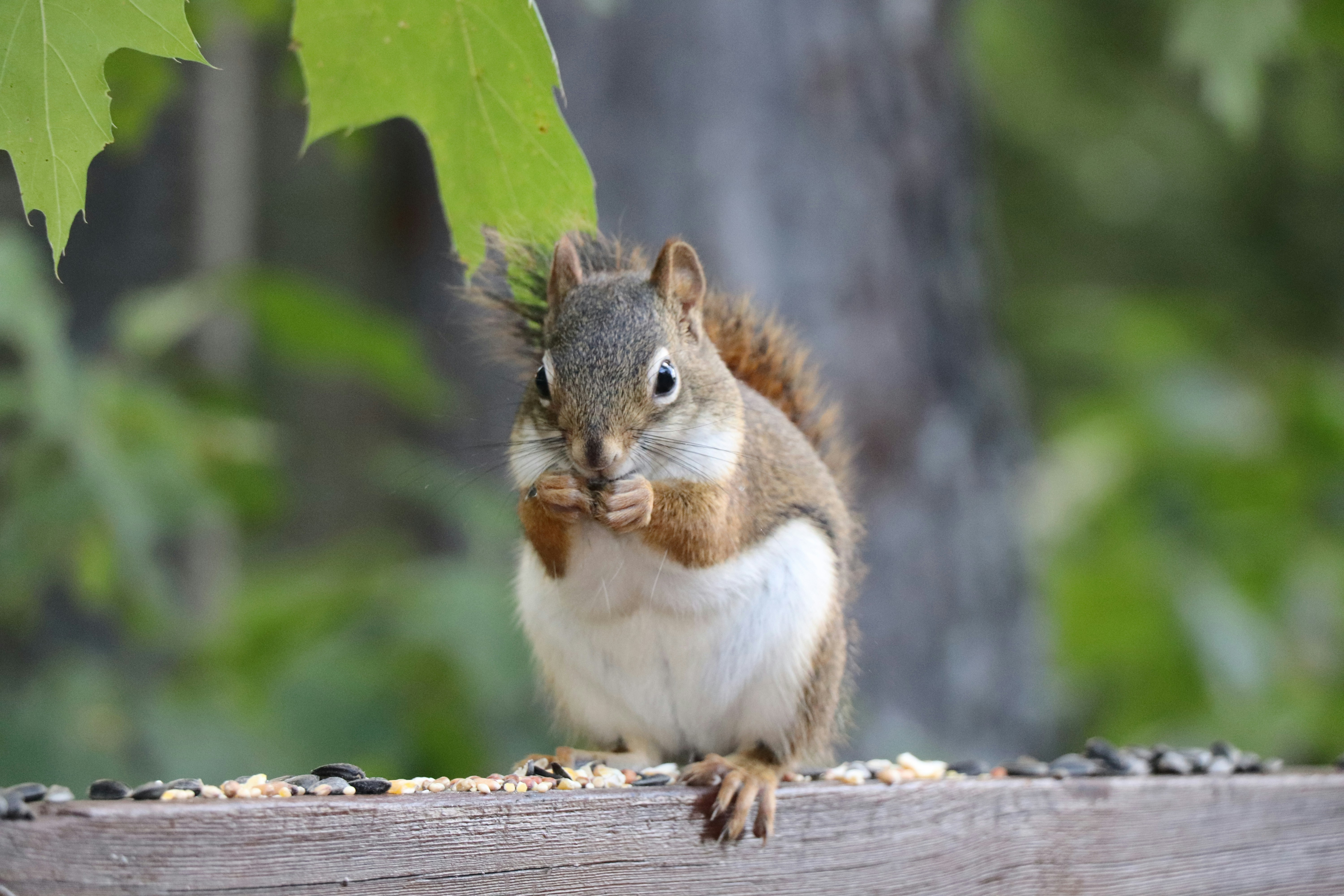 Photo by sandimagerart