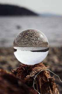 A crystal ball rests on a piece of weathered wood, reflecting an inverted image of a rocky shoreline and distant water. The detailed texture of the wood contrasts with the smooth surface of the glass sphere, creating an artistic and abstract visual effect.