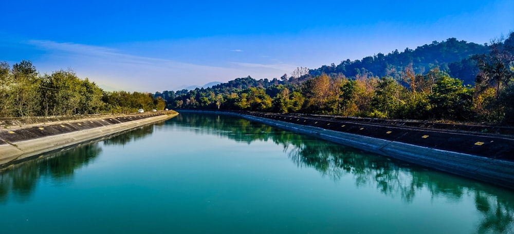 green trees beside river under blue sky during daytime