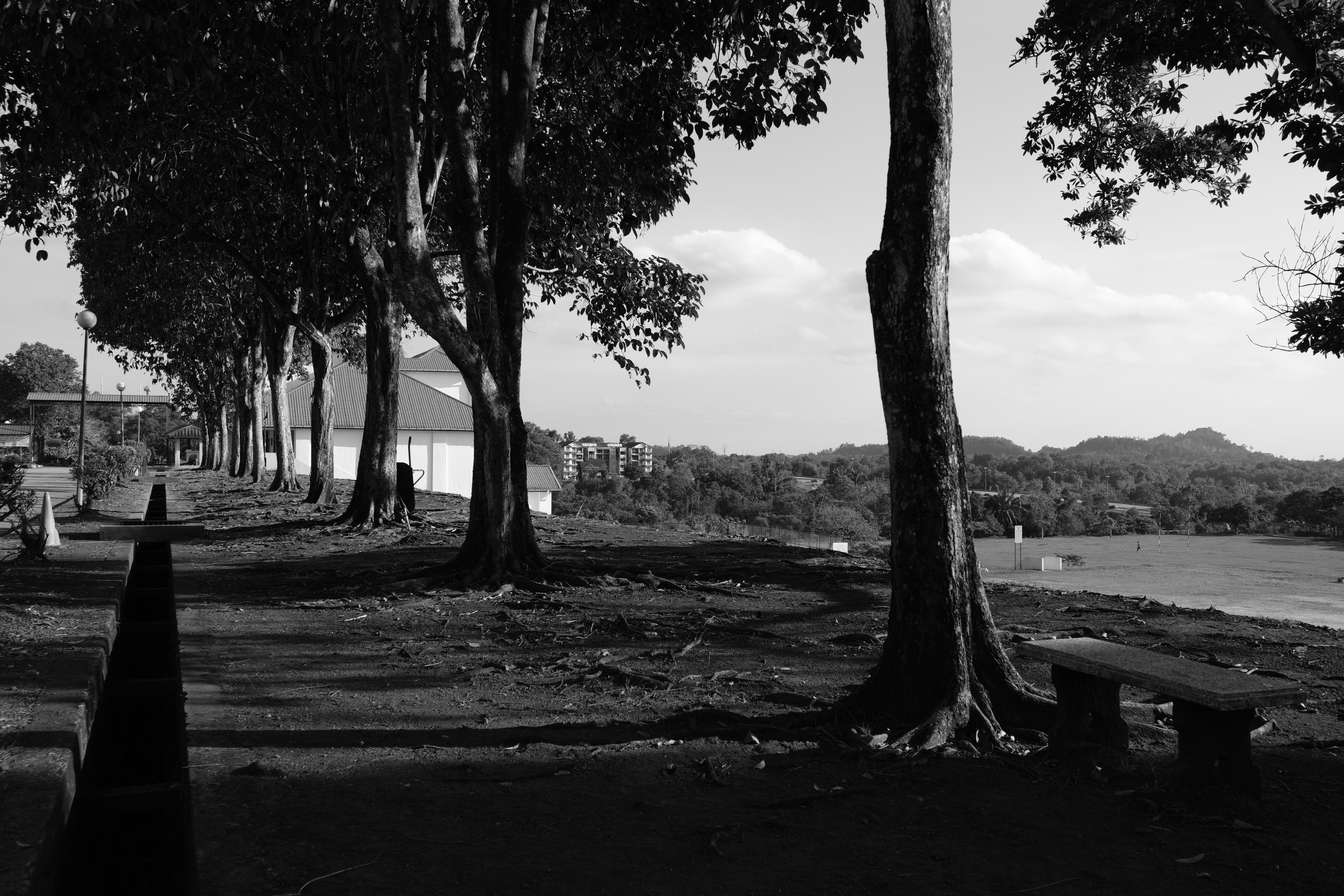 Photo by amirulmooez