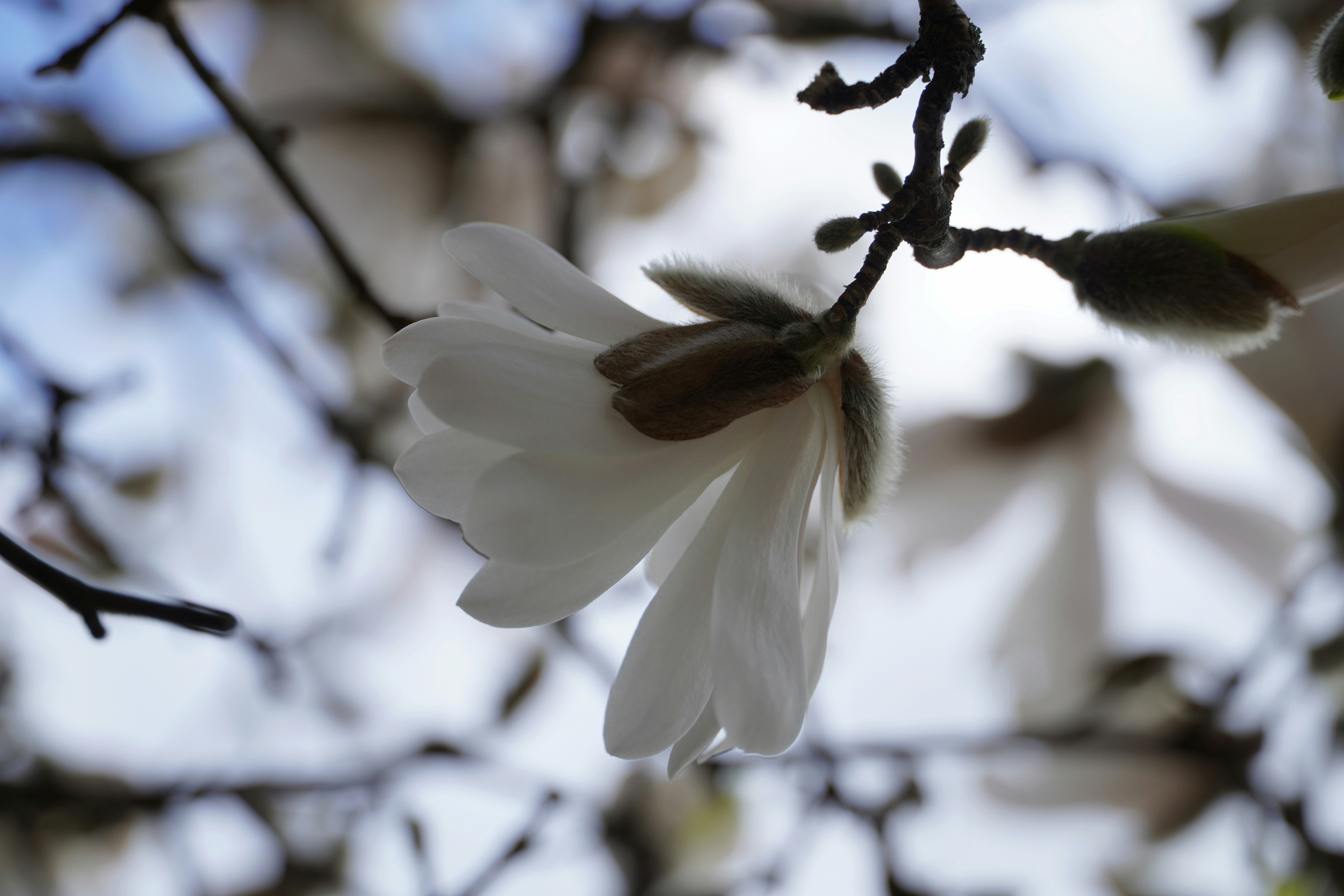 Photo by meinayin