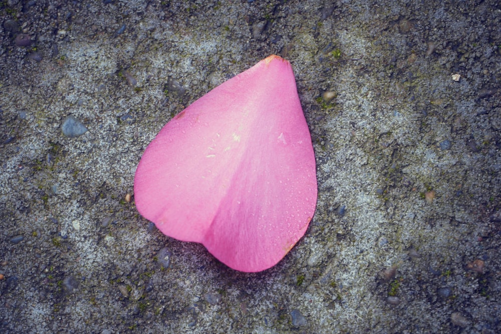 pink heart on gray and black surface