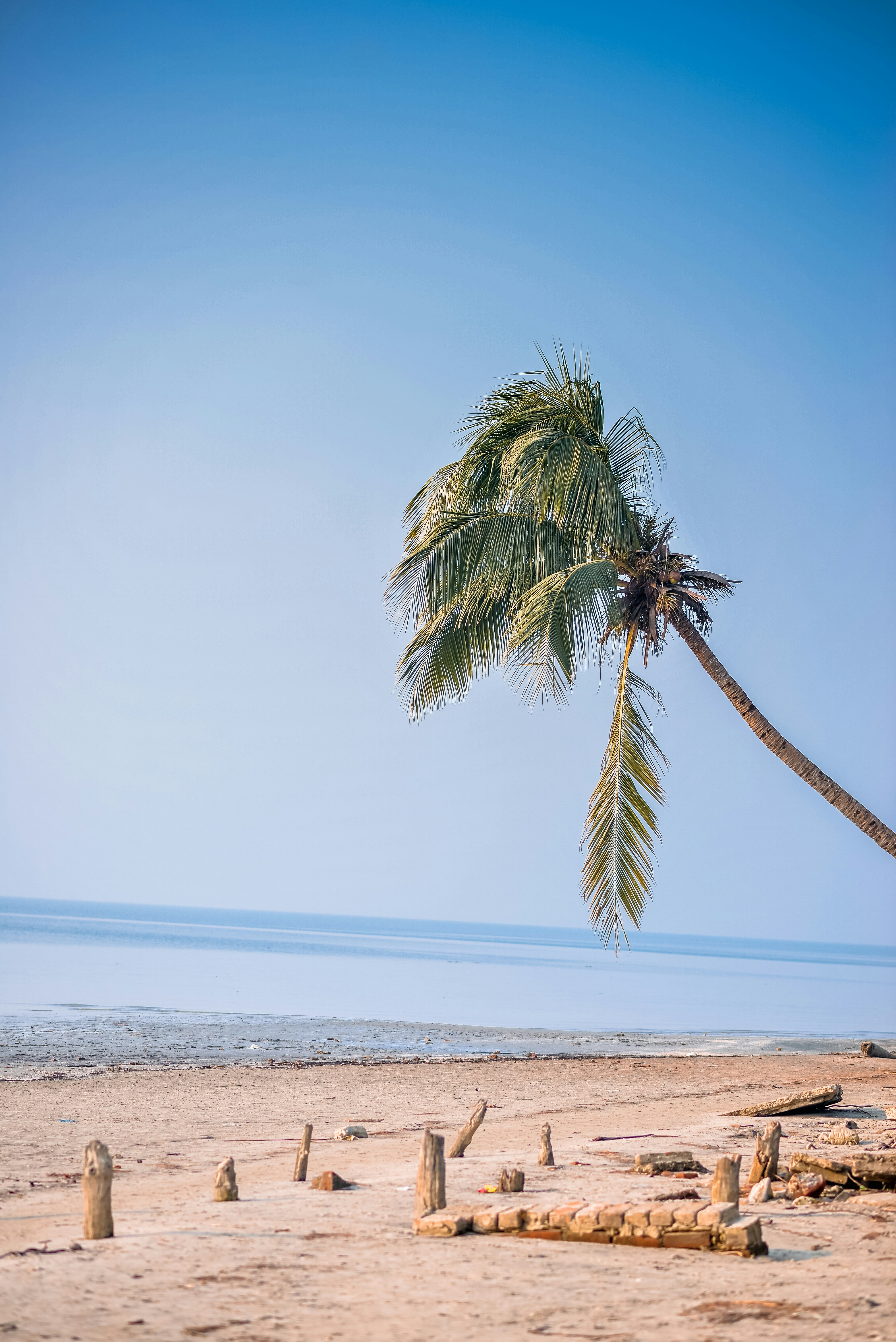 Photo by julker_naeem