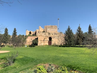 A serene view of the Cave of the Patriarchs surrounded by ancient stone architecture and lush greenery.