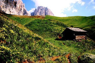 Cozy cottage nestled among wildflowers with a view of distant mountains.