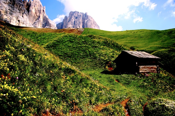 Cozy cottage nestled among wildflowers with a view of distant mountains.