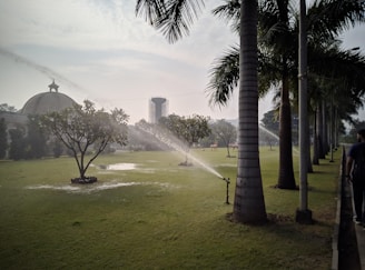 A large green lawn is being watered by sprinklers, with palm trees lining the right side and a pathway visible. In the background, there is a building with a dome and a tall water tower. The sky appears slightly overcast, adding to the serene setting.