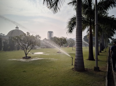 A large green lawn is being watered by sprinklers, with palm trees lining the right side and a pathway visible. In the background, there is a building with a dome and a tall water tower. The sky appears slightly overcast, adding to the serene setting.