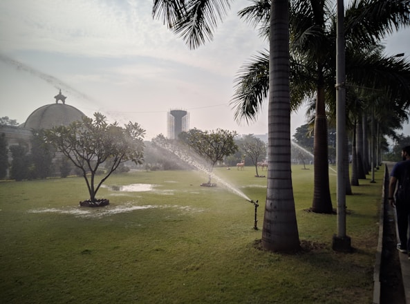 A large green lawn is being watered by sprinklers, with palm trees lining the right side and a pathway visible. In the background, there is a building with a dome and a tall water tower. The sky appears slightly overcast, adding to the serene setting.