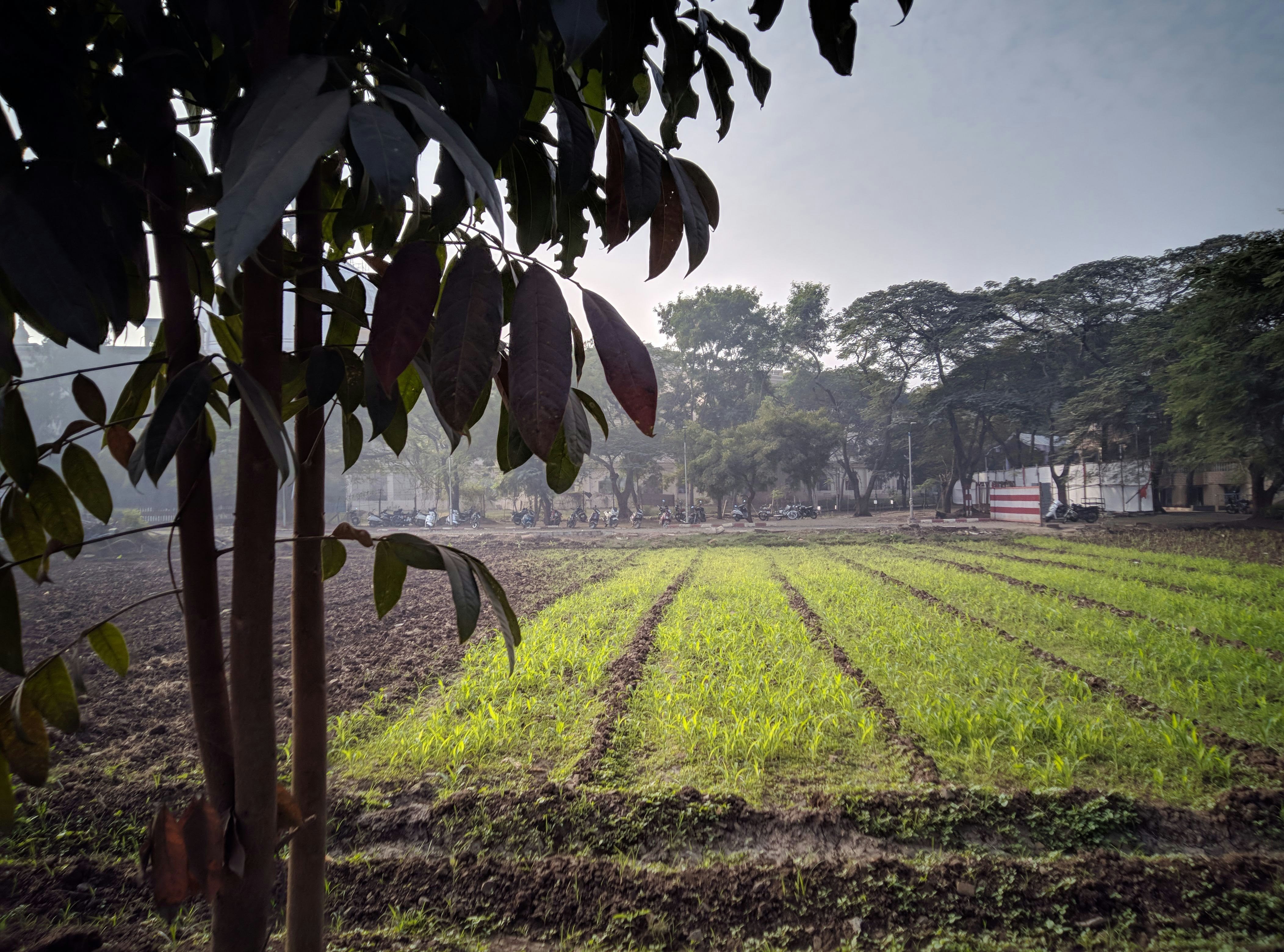 Photo by anupjoseph20