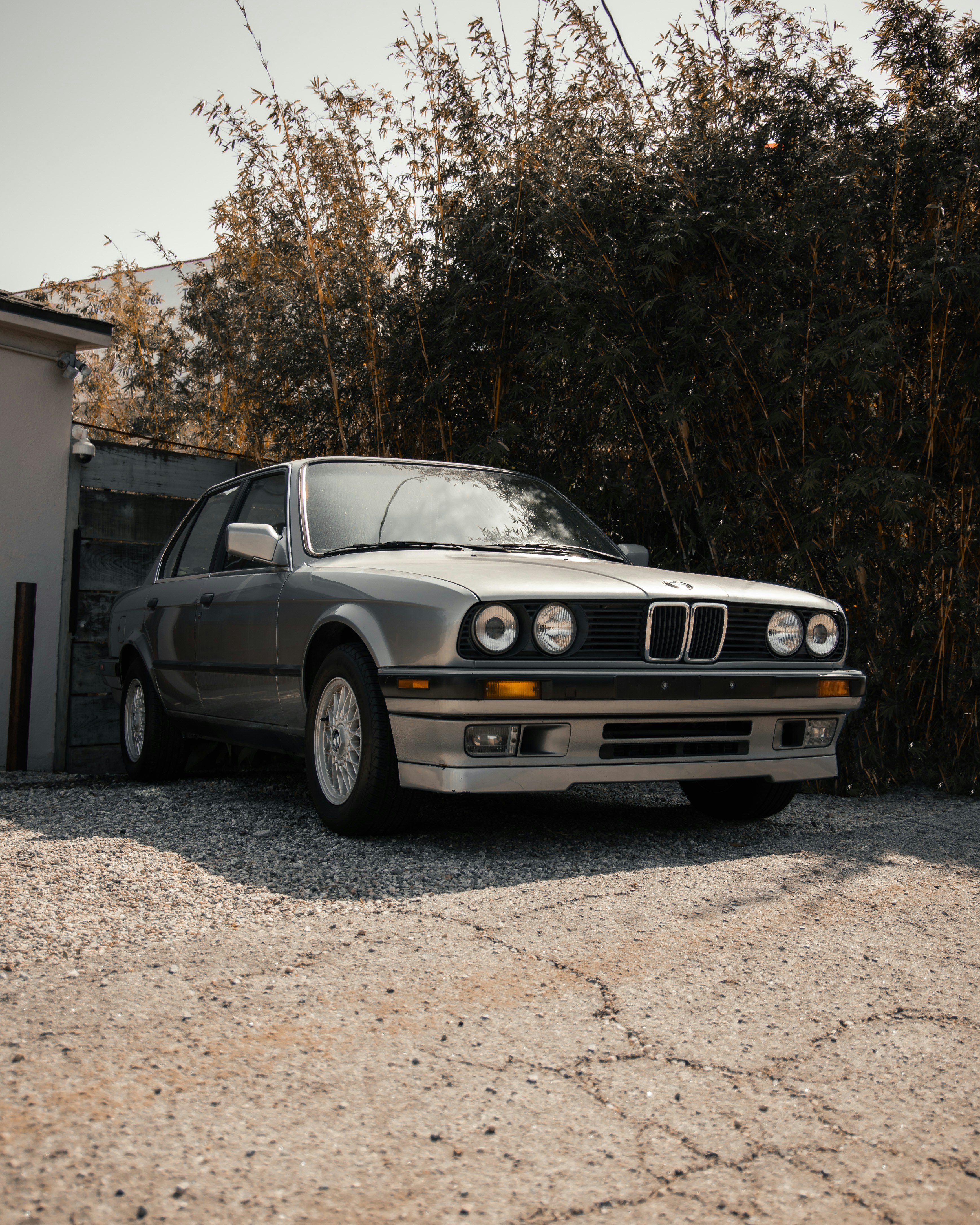 Photo by svenciupkab