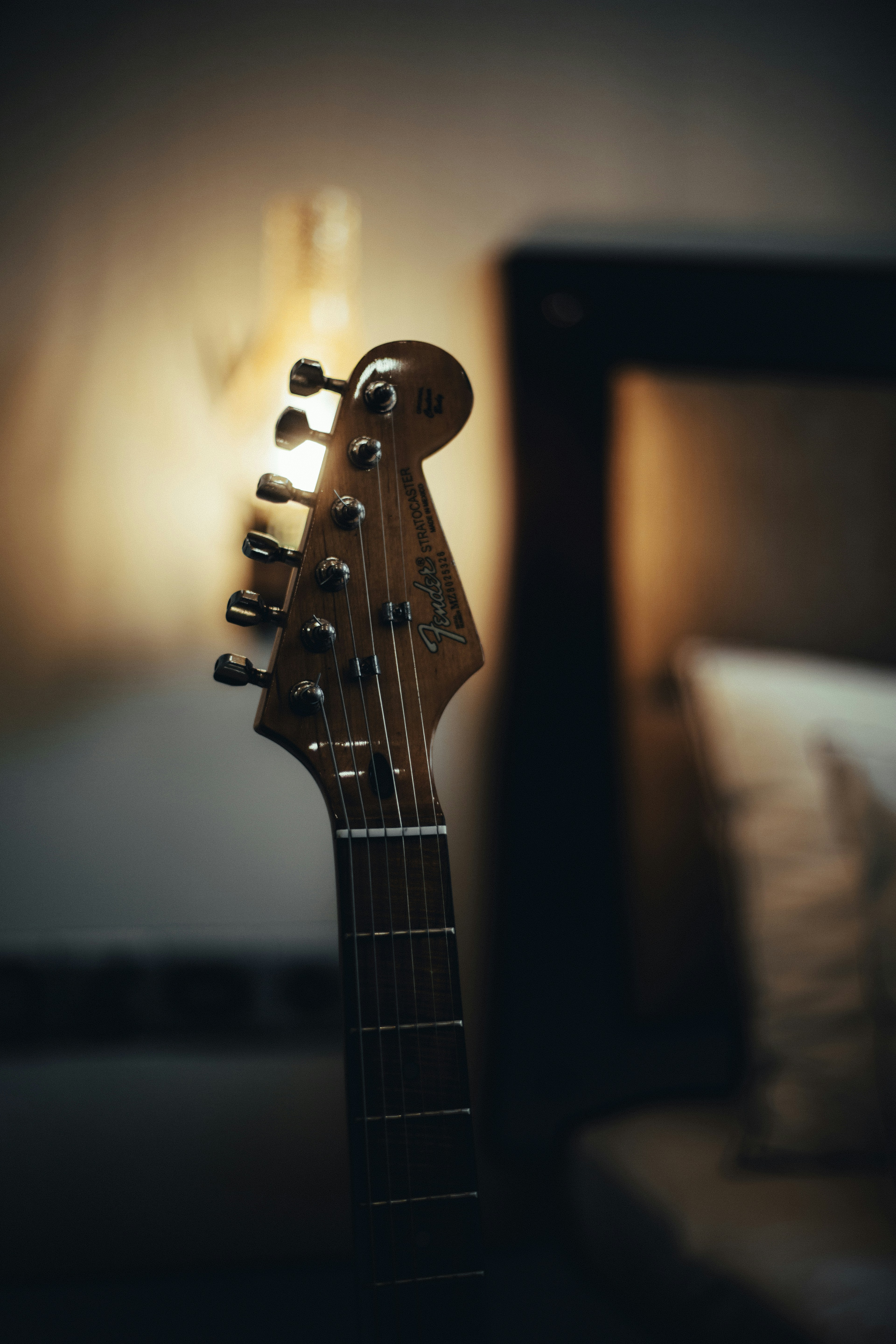 茶色と黒のエレキギターの写真 Unsplashで見つけるスリランカの無料写真