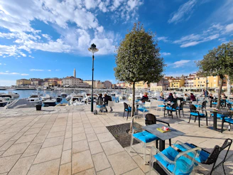 A cozy seaside café overlooking a quiet harbor with sailboats gently rocking.