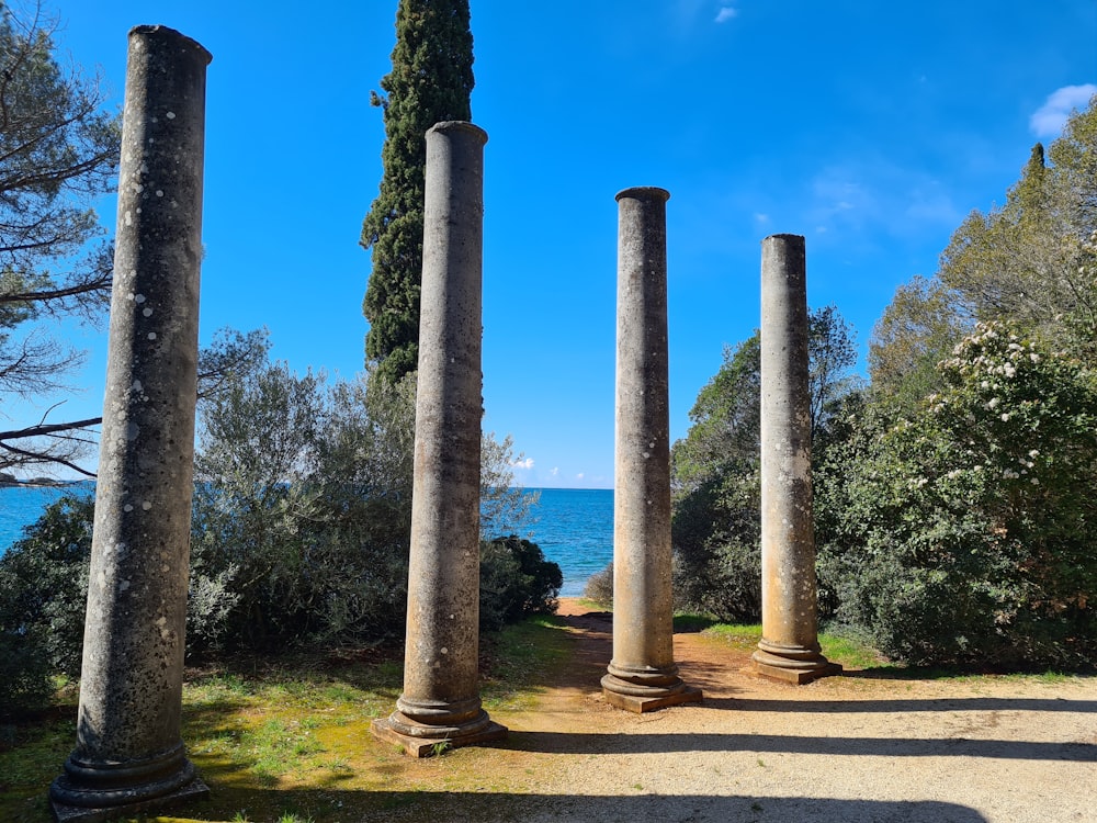 alberi verdi vicino allo specchio d'acqua durante il giorno