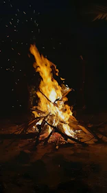 A wide shot of a campfire with sparks rising into the night sky surrounded by logs.