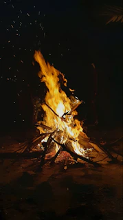 A wide shot of a campfire with sparks rising into the night sky surrounded by logs.