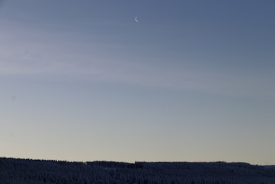 A serene moon casting soft light on a quiet landscape, symbolizing reflective and intuitive leadership.