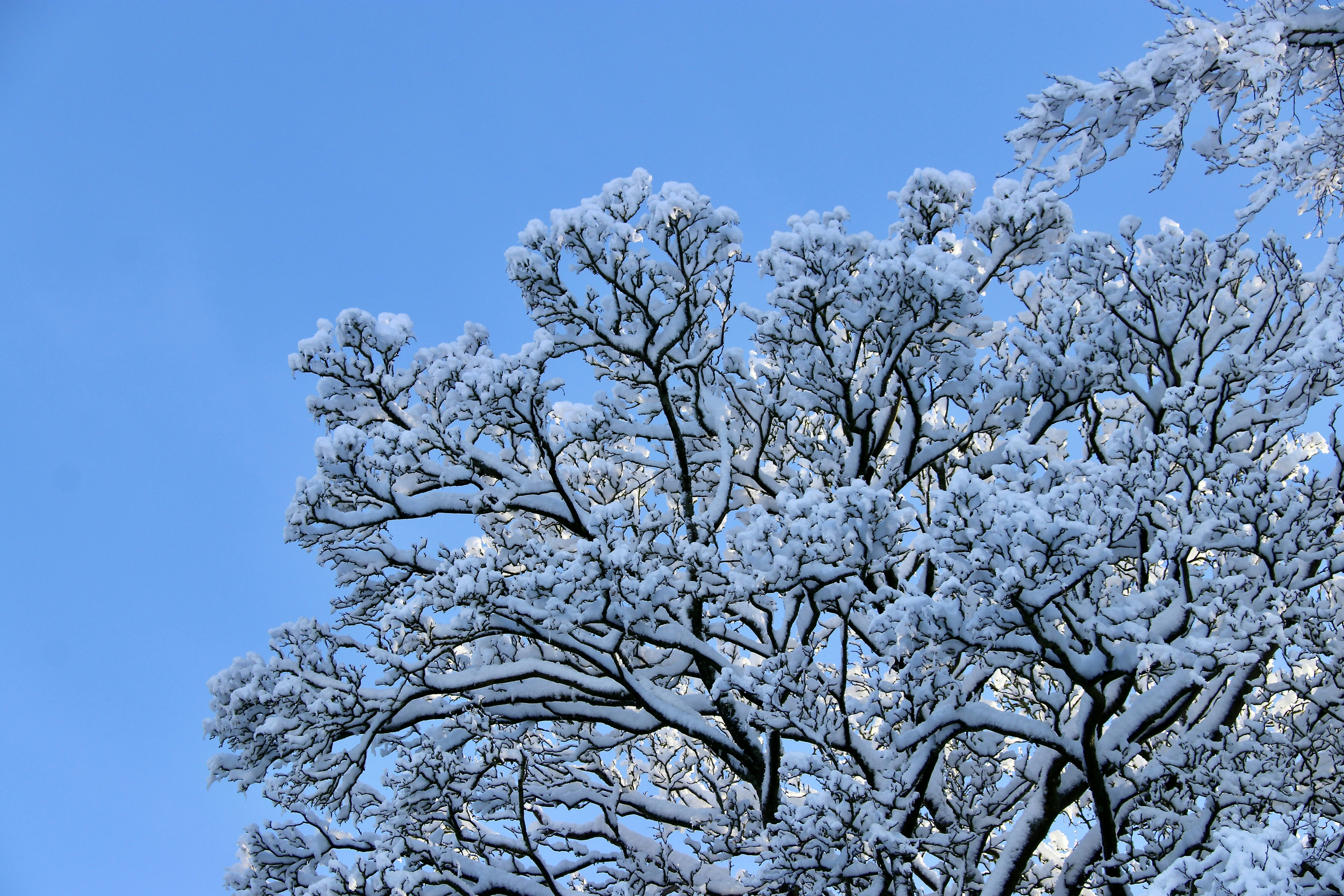 Photo by willshelley