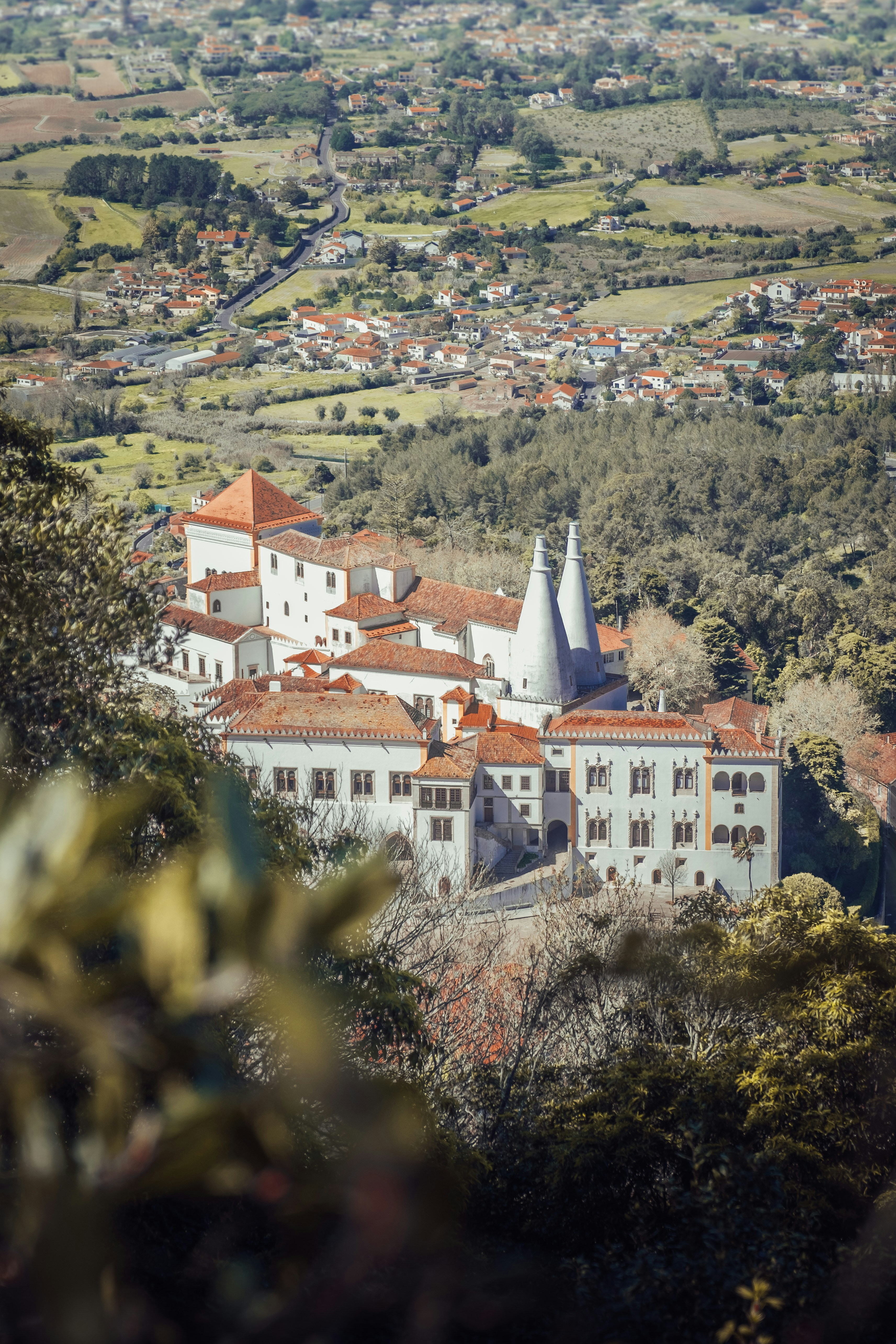 white and brown concrete houses near green trees during daytime