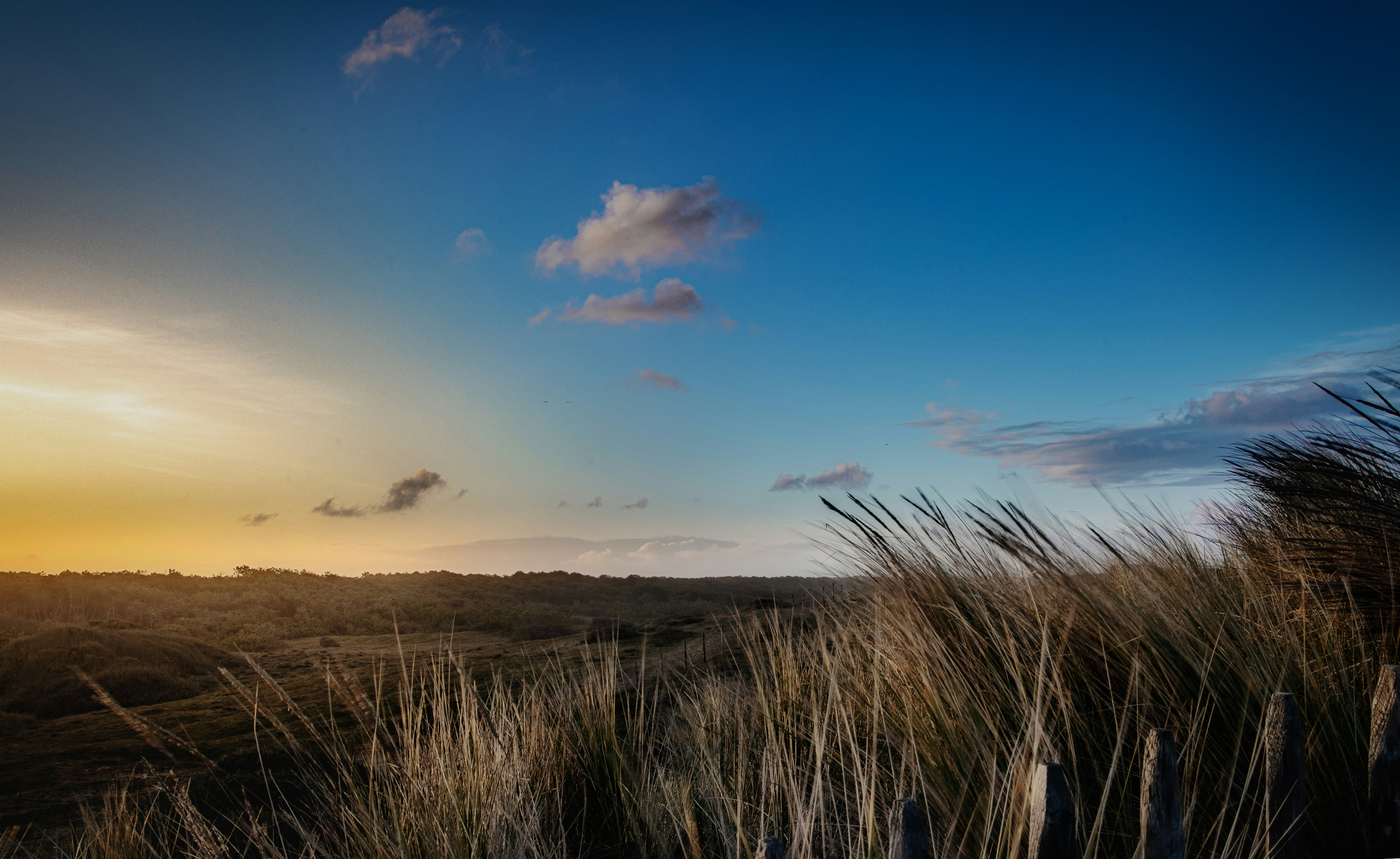 Photo by arizonanthony