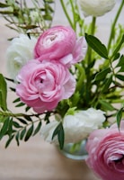 A bouquet of ranunculus flowers with pink and white blooms, surrounded by lush green leaves. The flowers are vibrant and well-focused, showcasing their delicate petals in a pleasing arrangement.