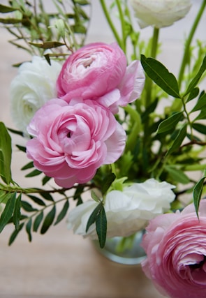 A bouquet of ranunculus flowers with pink and white blooms, surrounded by lush green leaves. The flowers are vibrant and well-focused, showcasing their delicate petals in a pleasing arrangement.