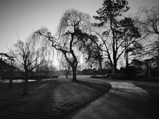 A serene black-and-white photo of Agnieszka walking through a quiet park, reflecting her calm strength.