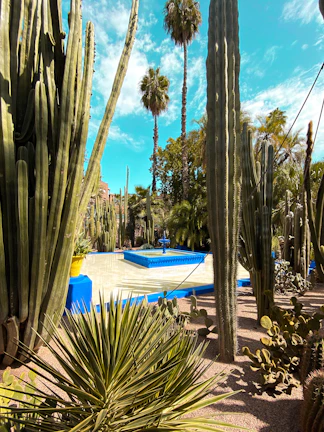 A vibrant garden oasis with colorful desert flowers and a tranquil water feature.