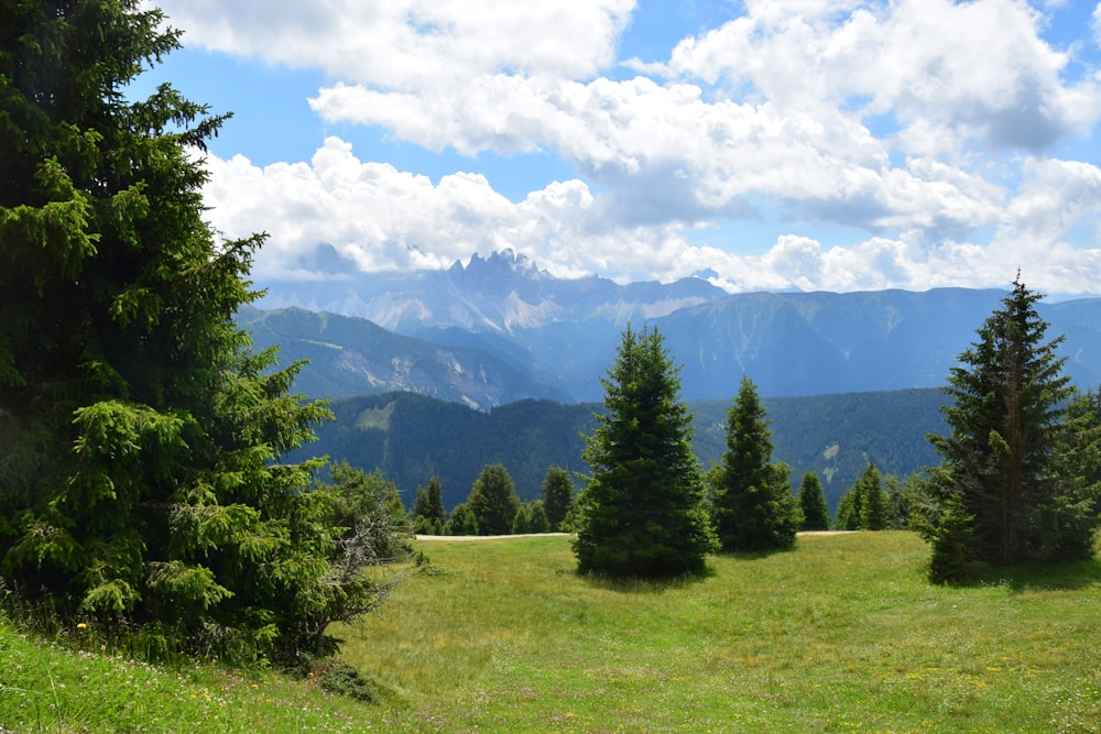 green trees on green grass field near mountains under white clouds and blue sky during daytime