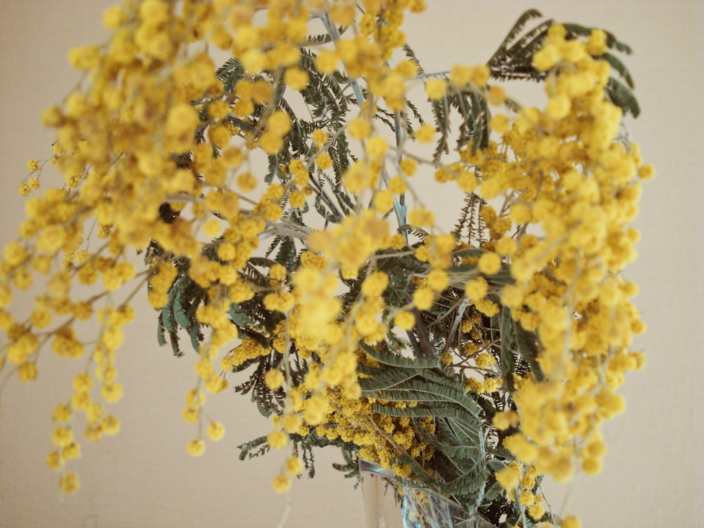 yellow flower with green leaves