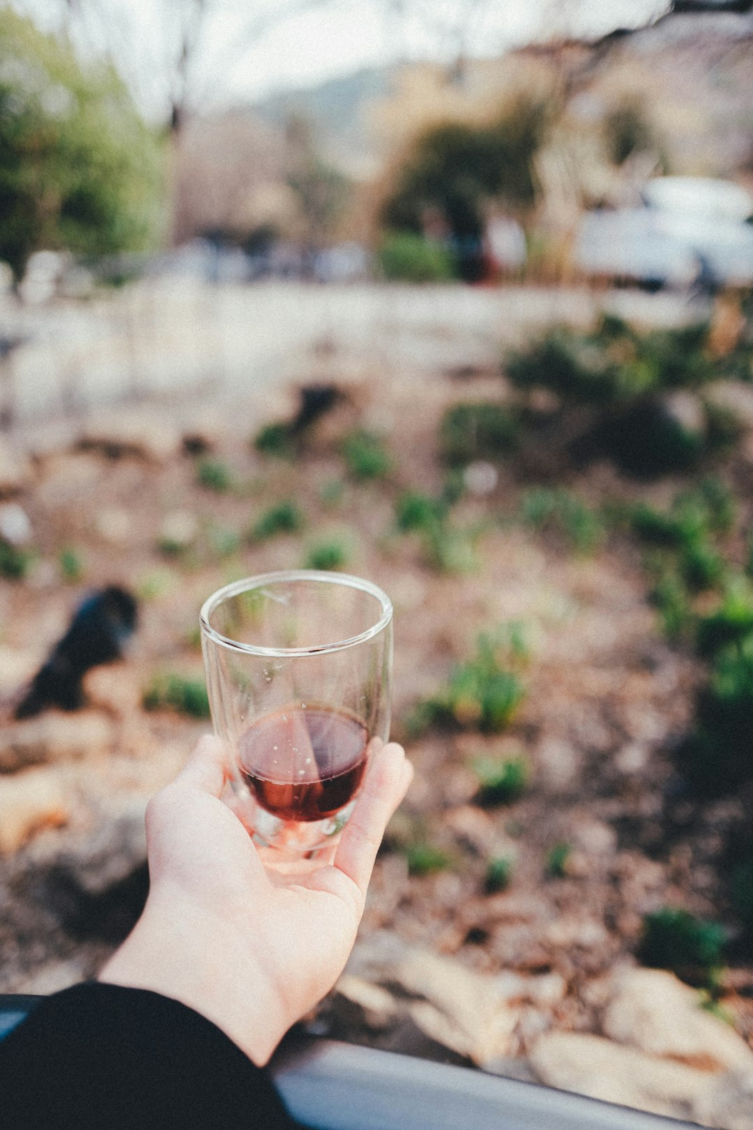 person holding clear drinking glass with red liquid