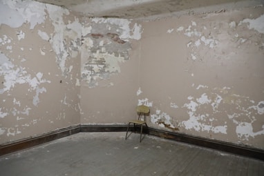 mold removal pottstown